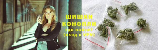 ГАЛЛЮЦИНОГЕННЫЕ ГРИБЫ Медвежьегорск