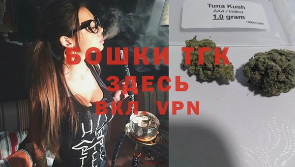 ГАЛЛЮЦИНОГЕННЫЕ ГРИБЫ Медвежьегорск
